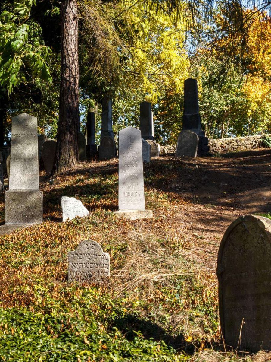 בית קברות (7) (1)